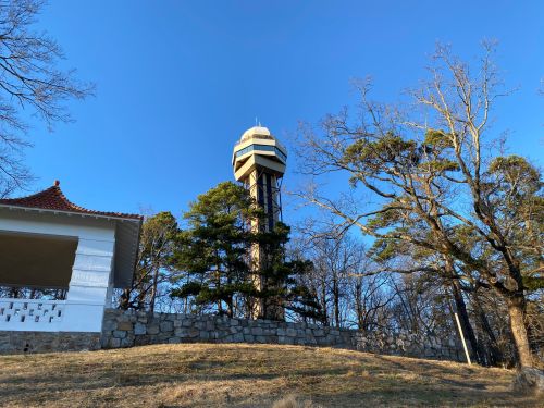 A tall observation tower stands among trees against a clear blue sky, with a white building in the foreground.