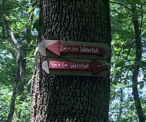 Wooden signs on a tree point left to "2nd & 3rd Waterfall" and right to "4th & 5th Waterfall" in a lush green forest.