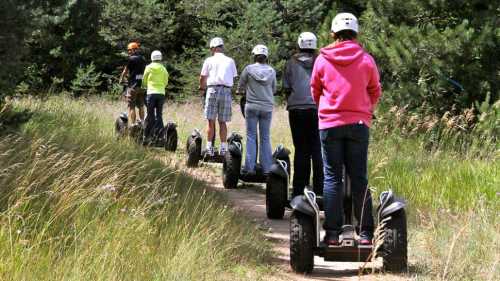 A group of people riding Segways along a grassy trail in a wooded area.