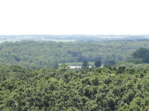 A panoramic view of lush green trees and distant fields under a bright sky.
