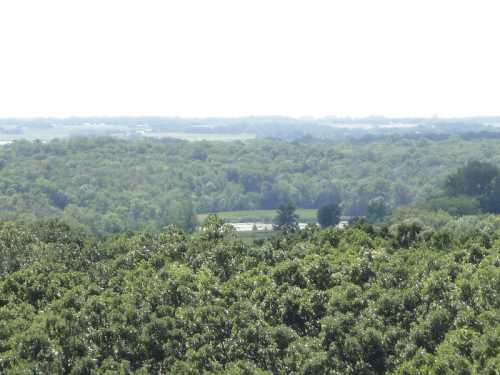 A panoramic view of lush green trees and distant fields under a bright sky.