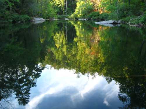 A serene lake reflecting lush green trees and a blue sky, surrounded by nature.