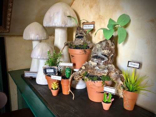 A whimsical display of potted plants and mushrooms, featuring unique textures and shapes on a wooden shelf.