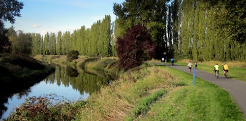 A scenic path alongside a calm river, with cyclists and walkers enjoying the lush greenery and trees.