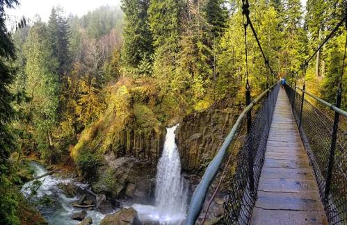 A suspension bridge over a waterfall, surrounded by lush green trees and a misty forest landscape.