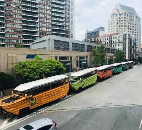 A row of colorful amphibious tour buses parked along a city street near modern buildings.