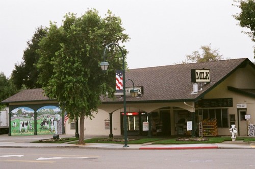 A quaint store with a "Milk" sign, featuring a mural of cows and an American flag nearby.