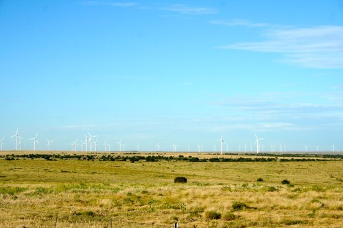 A vast landscape with green grass and a clear blue sky, dotted with numerous wind turbines in the distance.