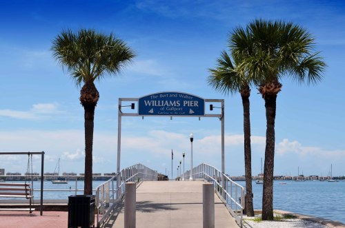 A view of Williams Pier in Gulfport, flanked by palm trees, with a clear blue sky and calm water in the background.