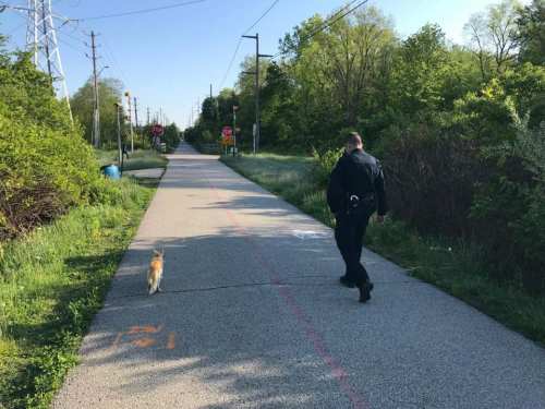A police officer walks a dog along a quiet, tree-lined path with stop signs in the background.