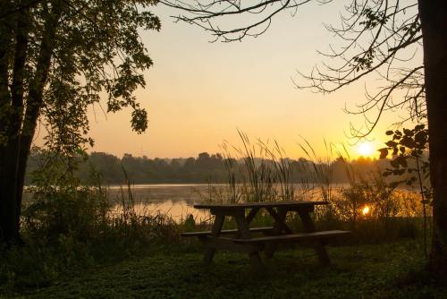 A serene lakeside scene at sunrise, featuring a picnic table surrounded by trees and tall grasses.