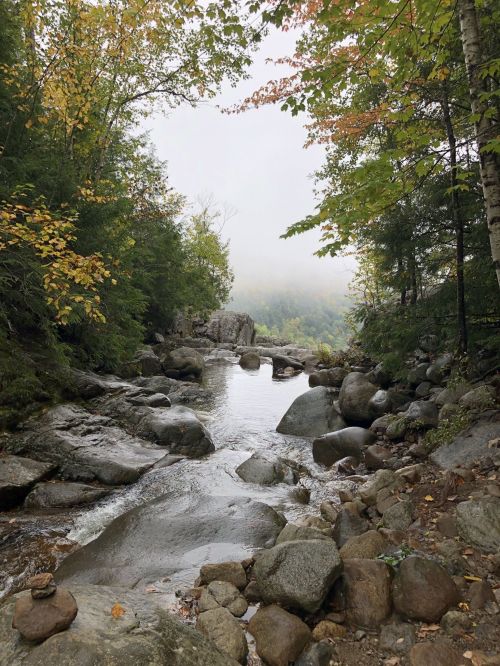 A serene river flows through rocky terrain, surrounded by trees with autumn leaves and a misty landscape in the background.