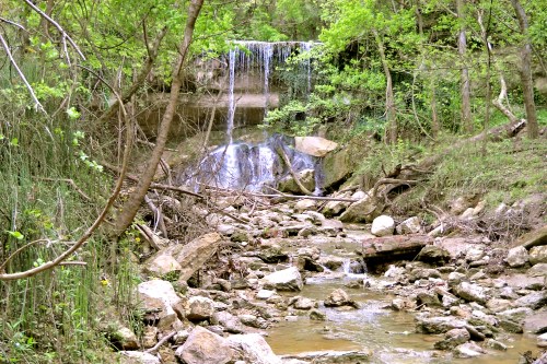 A serene forest scene featuring a small waterfall cascading over rocks into a stream, surrounded by lush greenery.