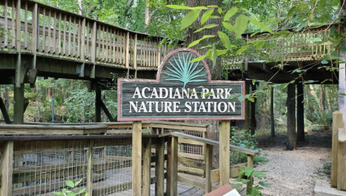 Sign for Acadiana Park Nature Station surrounded by lush greenery and wooden walkways.