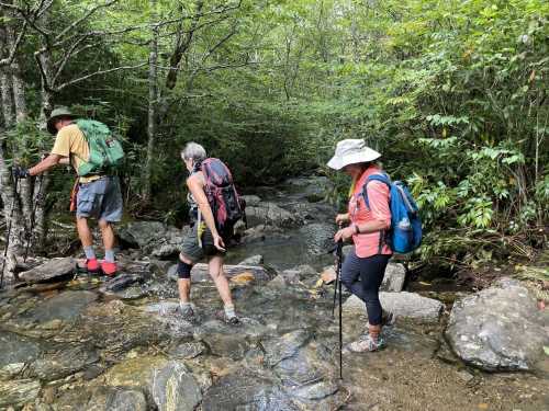 Three hikers crossing a rocky stream in a lush, green forest, wearing hats and backpacks.