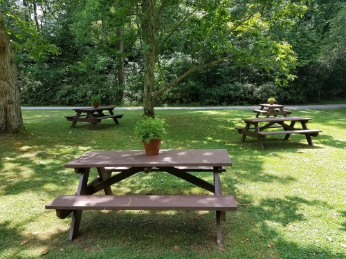 A grassy area with several wooden picnic tables, each with a potted plant, surrounded by trees.