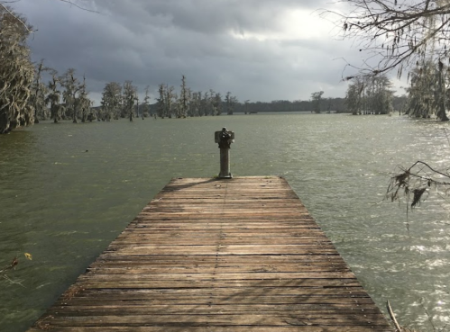 A wooden dock extends over a calm, greenish lake under a cloudy sky, surrounded by trees.