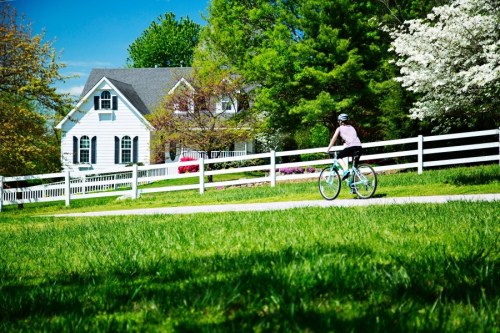 A person rides a bicycle on a path near a white house and blooming trees on a sunny day.