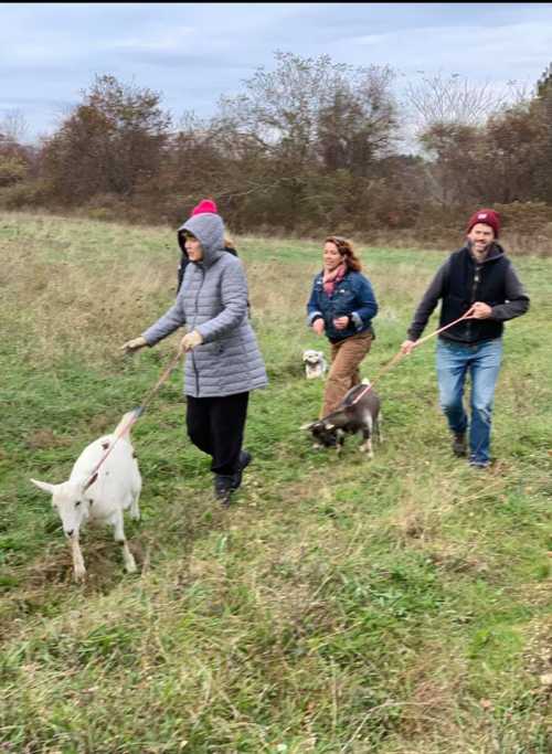 Three people walk dogs and a goat on leashes through a grassy field, surrounded by trees and a cloudy sky.