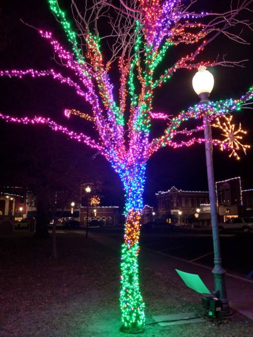 A tree wrapped in colorful holiday lights, glowing brightly at night, with a lamppost nearby.