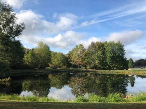 A serene pond surrounded by trees reflecting in the water under a blue sky with scattered clouds.