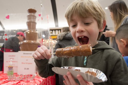 A young boy excitedly eats a chocolate-covered treat on a stick in front of a chocolate fountain.