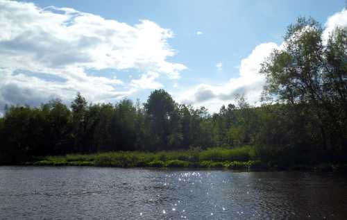 A serene river scene with sparkling water, lush greenery, and a bright blue sky dotted with clouds.