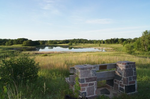 A serene landscape featuring a pond surrounded by lush greenery and a stone bench in the foreground.