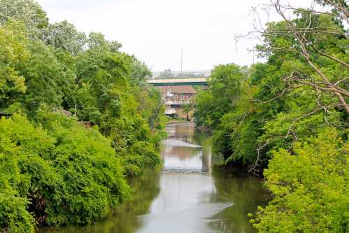 A serene river flows through lush greenery, with a bridge visible in the background under a cloudy sky.