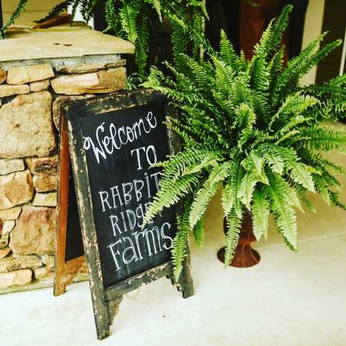 A rustic sign reading "Welcome to Rabbit Ridge Farms" next to lush green ferns and a stone wall.