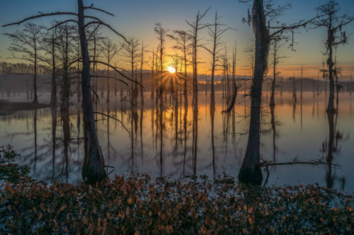 Sunrise over a tranquil lake, with silhouetted trees reflecting in the water and mist rising in the early morning light.