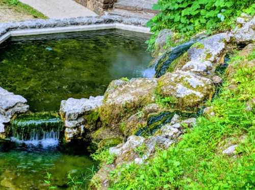 A serene pond with a small waterfall, surrounded by lush greenery and rocky edges.