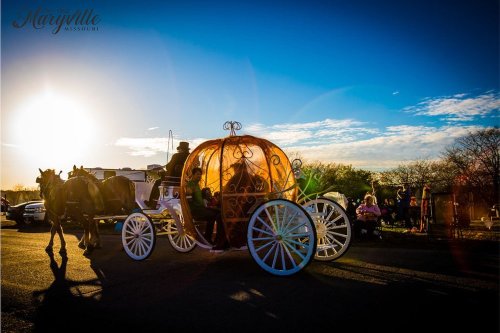 A horse-drawn carriage with a golden canopy is parked under a sunset, surrounded by people and trees.
