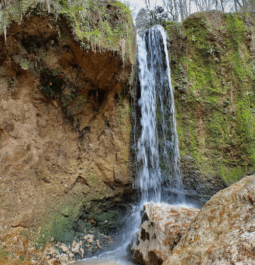 A small waterfall cascades over a mossy rock face, surrounded by lush greenery and earthy tones.