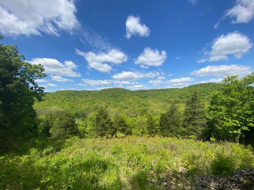 Lush green hills under a bright blue sky with fluffy white clouds, surrounded by trees and open fields.