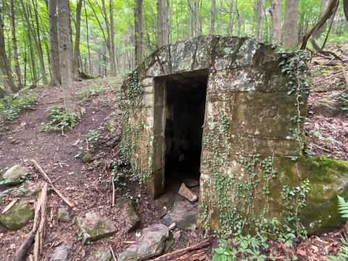 An old, moss-covered stone structure partially hidden in a lush, green forest.