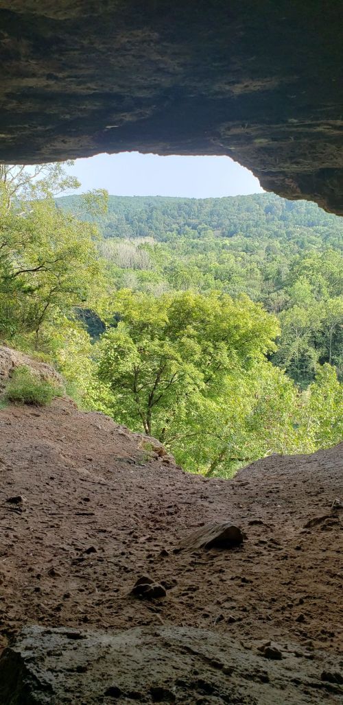 View from inside a cave, looking out at lush green trees and rolling hills under a clear sky.