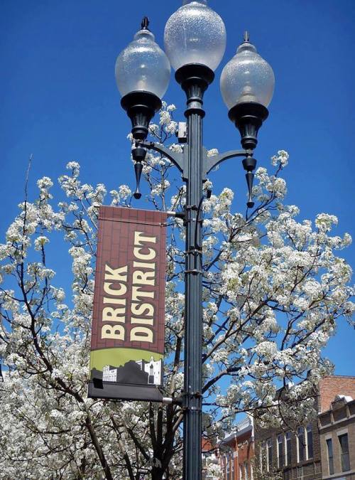 Street lamp with a "Brick District" sign, surrounded by blooming white trees against a clear blue sky.