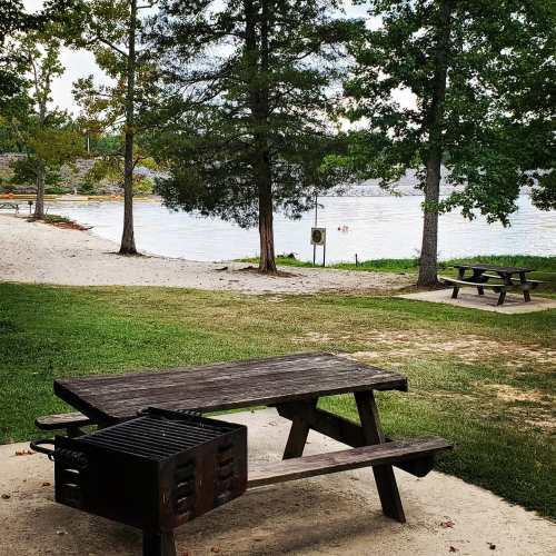 A picnic area with a wooden table and grill, surrounded by trees and a view of a calm lake.