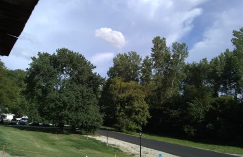 A view of a grassy area with trees and a cloudy sky, featuring a paved path in the foreground.