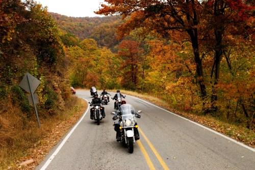 Motorcyclists ride along a winding road surrounded by vibrant autumn foliage.