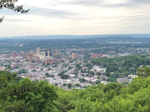 A panoramic view of a city skyline surrounded by green hills and trees under a cloudy sky.