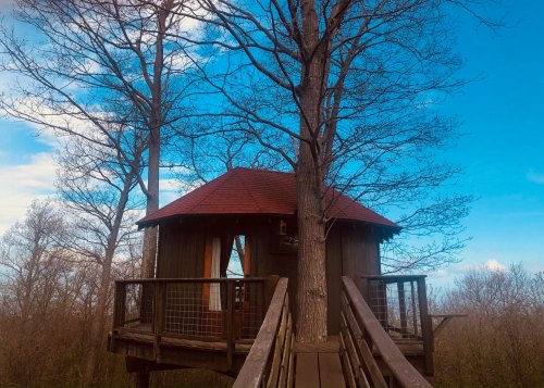 A wooden treehouse with a red roof, surrounded by bare trees and a clear blue sky. A wooden walkway leads to the entrance.