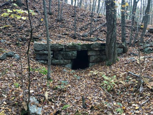 A stone structure partially hidden in a forest, surrounded by fallen leaves and trees.