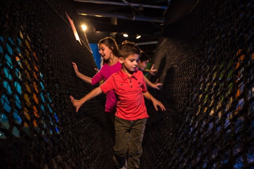 Children navigate a netted walkway in a playful indoor environment, smiling and engaged in the activity.