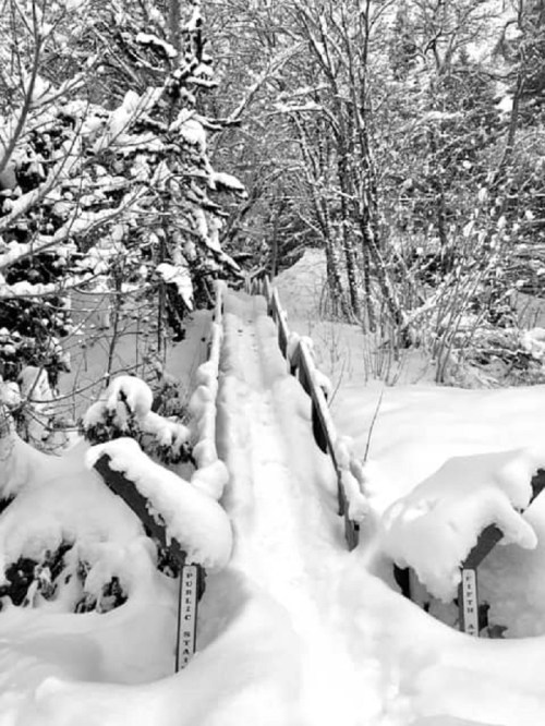A snowy path leads through trees, with a wooden bridge partially covered in snow, creating a serene winter scene.