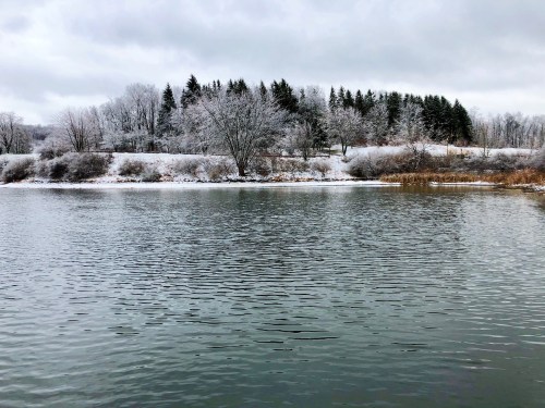 A serene winter scene featuring a calm lake surrounded by snow-covered trees and a cloudy sky.