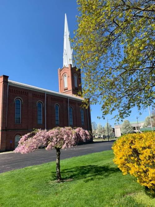 A brick church with a tall steeple, surrounded by blooming trees and vibrant greenery under a clear blue sky.
