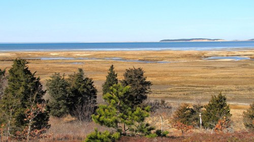 A serene coastal landscape featuring calm waters, grassy marshes, and distant hills under a clear blue sky.