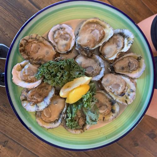 A colorful plate of fresh oysters garnished with lemon and kale, served on a wooden table.